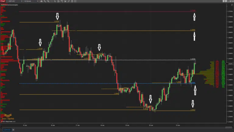  plot price labels - Price Level Volume Insights - Premium NInjaTrader 8 Indicator