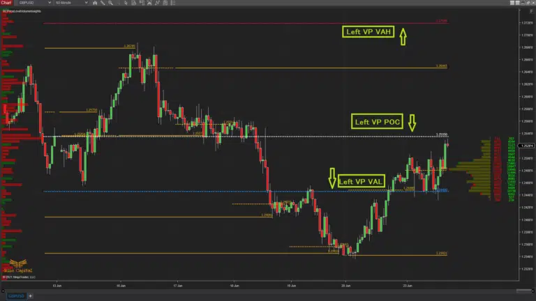 Value area high, low and POC - Price Level Volume Insights - Premium NInjaTrader 8 indicator