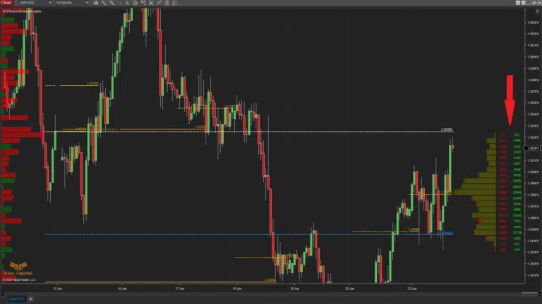  see buy and sell value real time - Price Level Volume Insights - Premium NInjaTrader 8 indicator