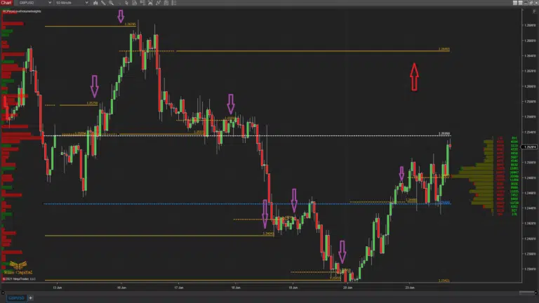  daily sessions’ extended POCs - Price Level Volume Insights - Premium NInjaTrader 8 Indicator