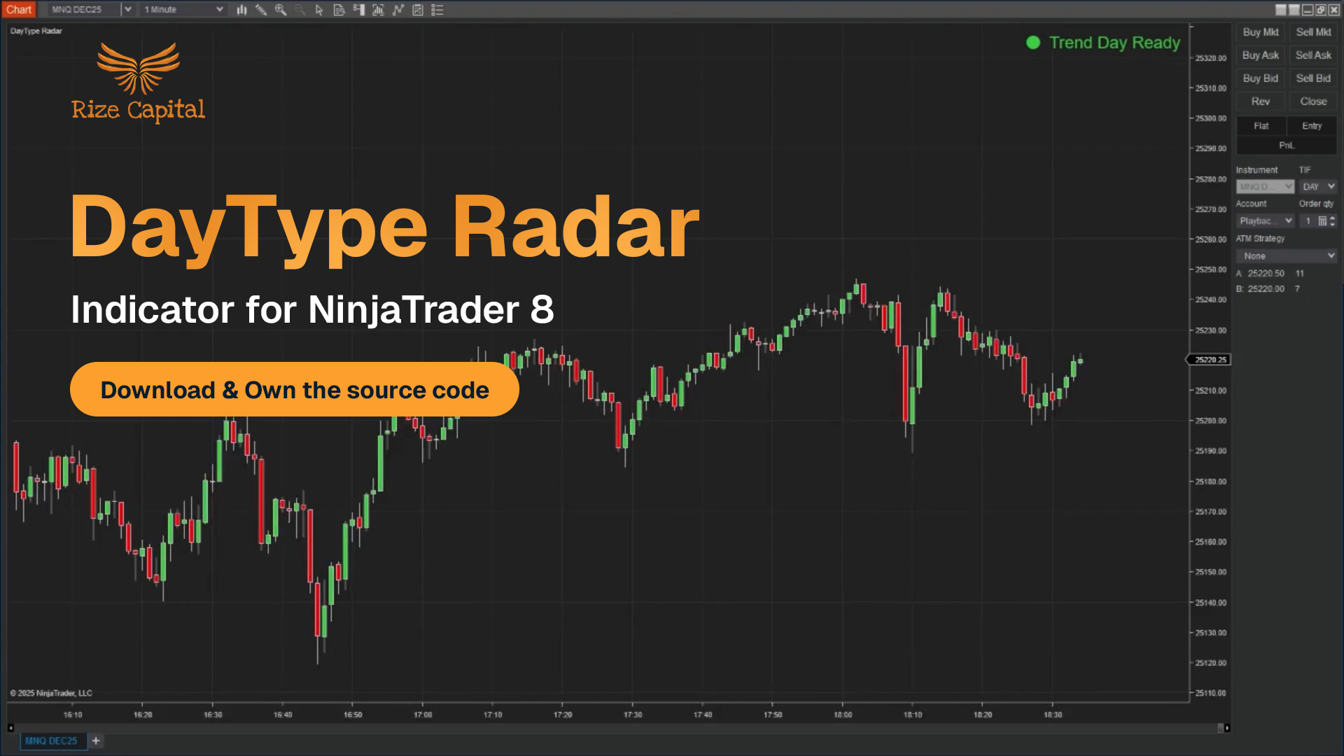 DayType Radar - NinjaTrader 8 Indicator